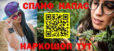 мдпв Гусев