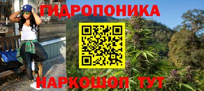 a pvp Гусь-Хрустальный