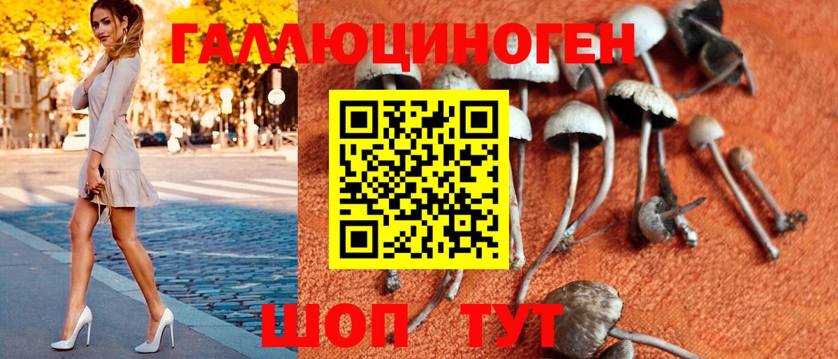 Мариинск  цена   Псилоцибиновые грибы Magic Shrooms  Вход с VPN  Галлюциногенные грибы мухоморы 