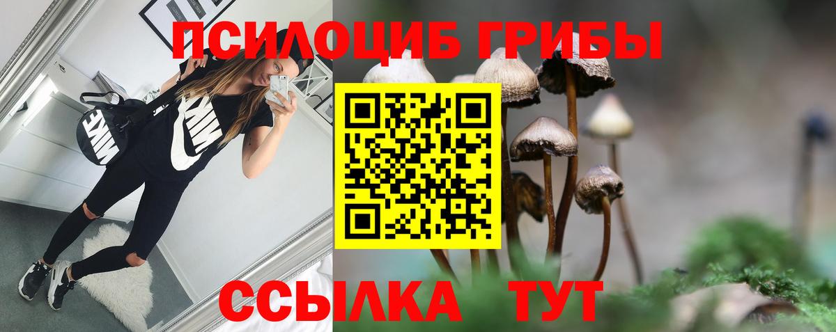 Галлюциногенные грибы мицелий Мариинск
